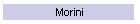 Morini