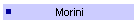 Morini